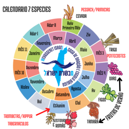 calendario 7 especies pt