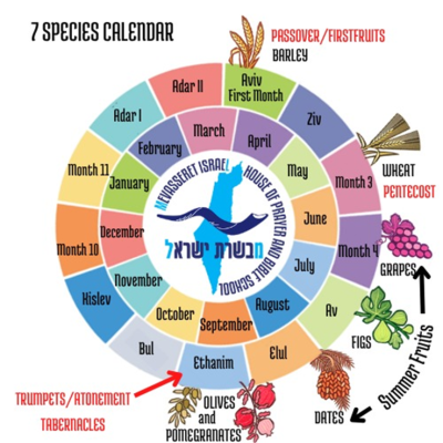 calendario 7 especies